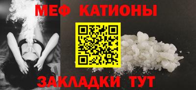 крисы Можга