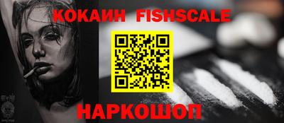 крисы Можга