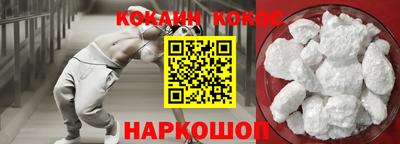 крисы Можга