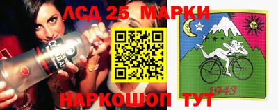 крисы Можга