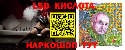крисы Можга